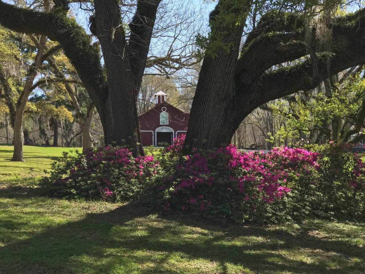 Canemount Plantation Inn Westside Eksteriør billede